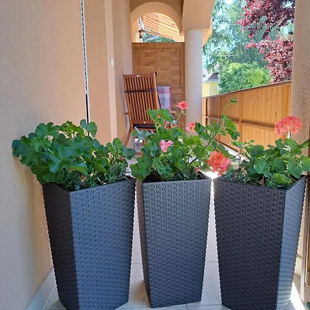 Apartment Andrea I Balaton Heviz