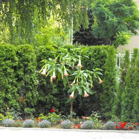 Andrea I Balaton Apartment