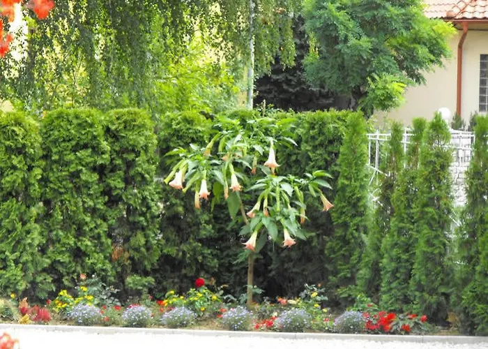 Andrea I Balaton Apartman